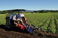 農産事業イメージ
