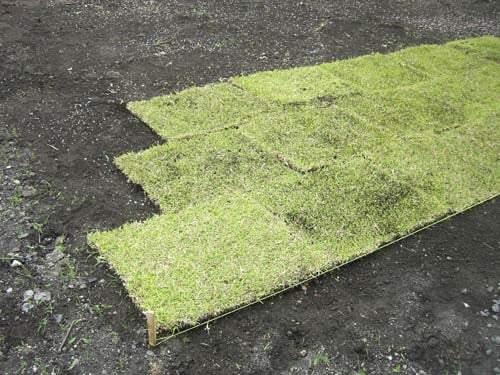 芝生の生産販売 植え方 手入れ 芝生の張り方 株式会社ハヤシ